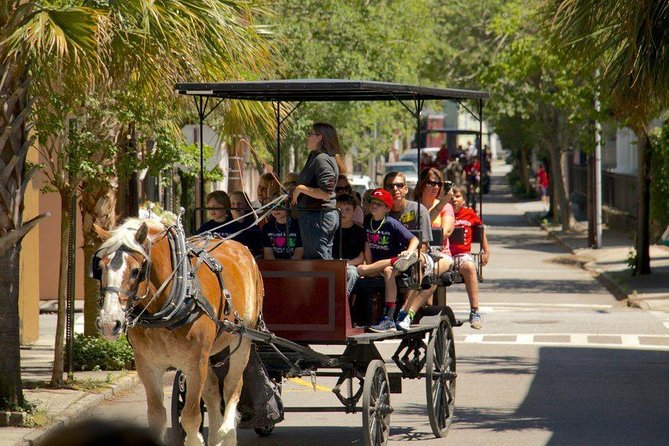 Charleston's Historic Residential Horse and Carriage Tour - Starting at 20 Anson Street with the horses