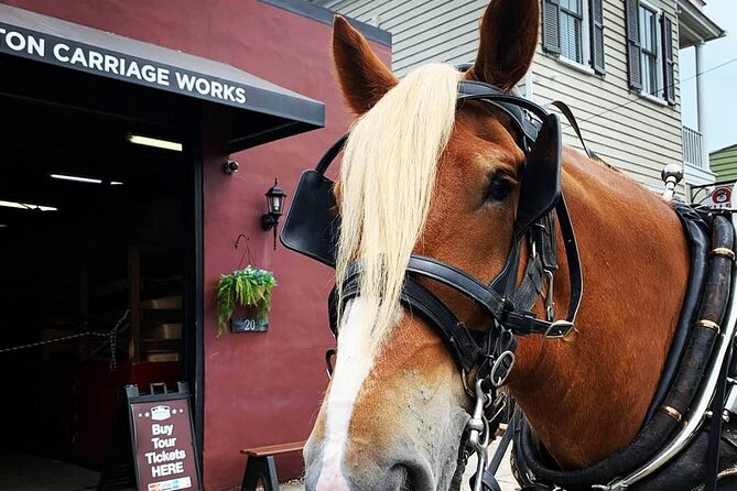 Charleston's Historic Residential Horse and Carriage Tour - What the $50 price includes