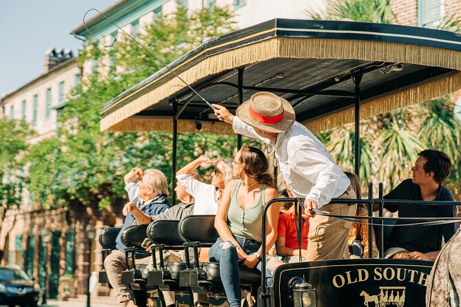 Charleston’s Old South Carriage Historic Horse & Carriage Tour - Meeting the Belgian and Percheron horses