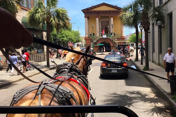 Charleston’s Old South Carriage Historic Horse & Carriage Tour - Comfort, weather, and family details
