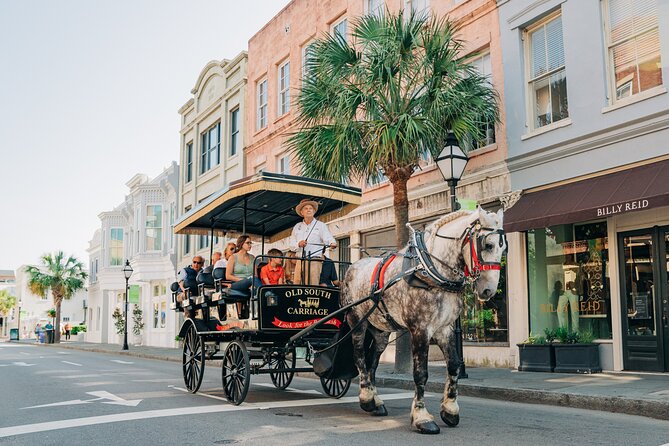 Charleston’s Old South Carriage Historic Horse & Carriage Tour - Is $50 a fair price?