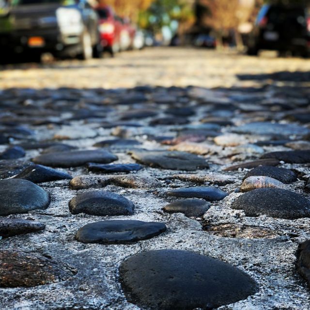 Charleston: Walking History and Bar Tour - Walking the French Quarter and its old lanes