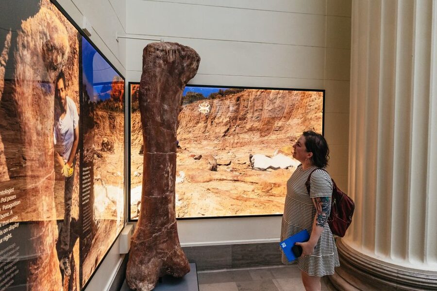 Chicago: Field Museum of Natural History Ticket or VIP Tour - Key points at a glance