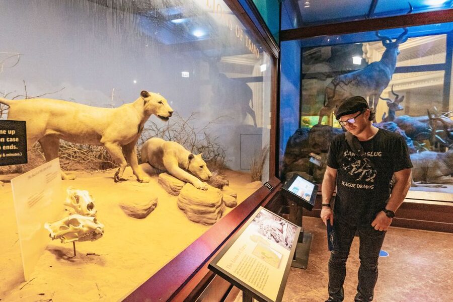 Chicago: Field Museum of Natural History Ticket or VIP Tour - Should you book the Field Museum ticket or VIP tour?