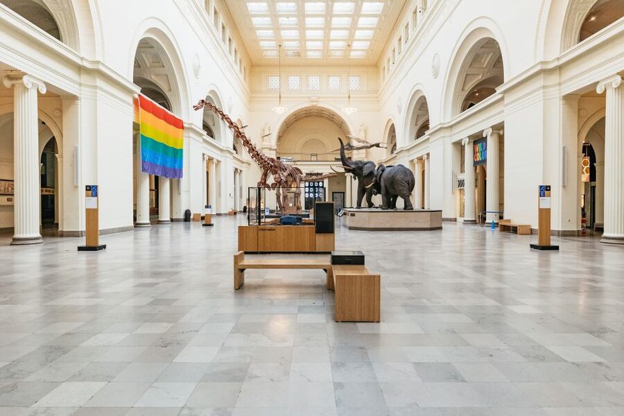 Chicago: Field Museum of Natural History Ticket or VIP Tour - Why the Field Museum deserves a full day