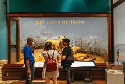 Field Museum of Natural History Ticket or VIP Tour
