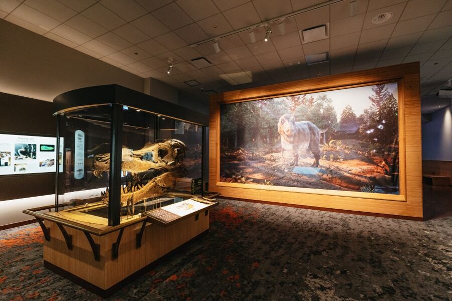 Chicago: Field Museum of Natural History Ticket or VIP Tour - Ancient America, Egypt, China, and human cultures