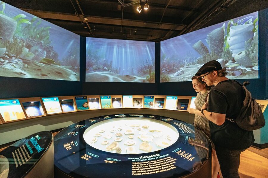 Chicago: Field Museum of Natural History Ticket or VIP Tour - Four ways to visit the museum