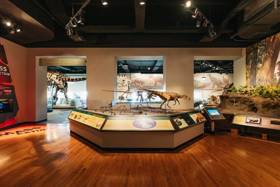 Chicago: Field Museum of Natural History Ticket or VIP Tour - Crowds, tickets, and practical details