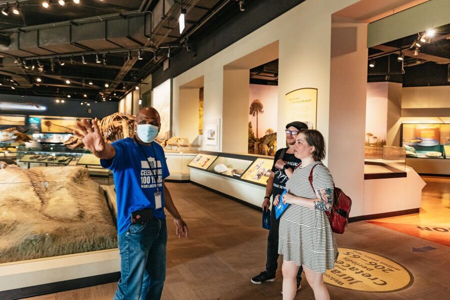 Chicago: Field Museum of Natural History Ticket or VIP Tour - Who will enjoy this experience most?