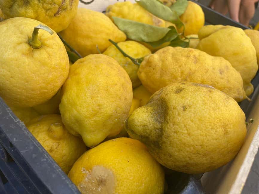 Civitavecchia: Historical and Culinary Walking Tour - Who should book this walking tour?