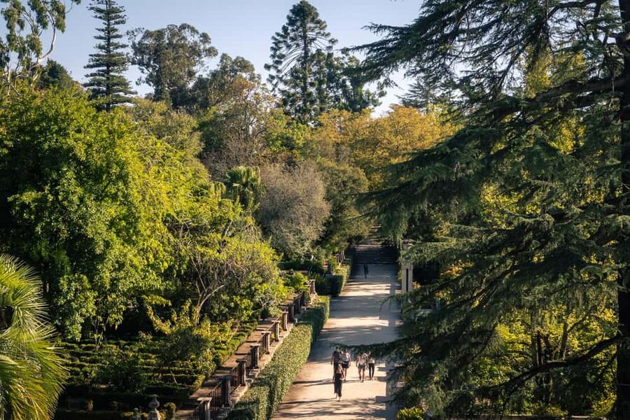 Coimbra: Private & Flexible Walking Tour in Historic Center - How Walkbox performs in practice
