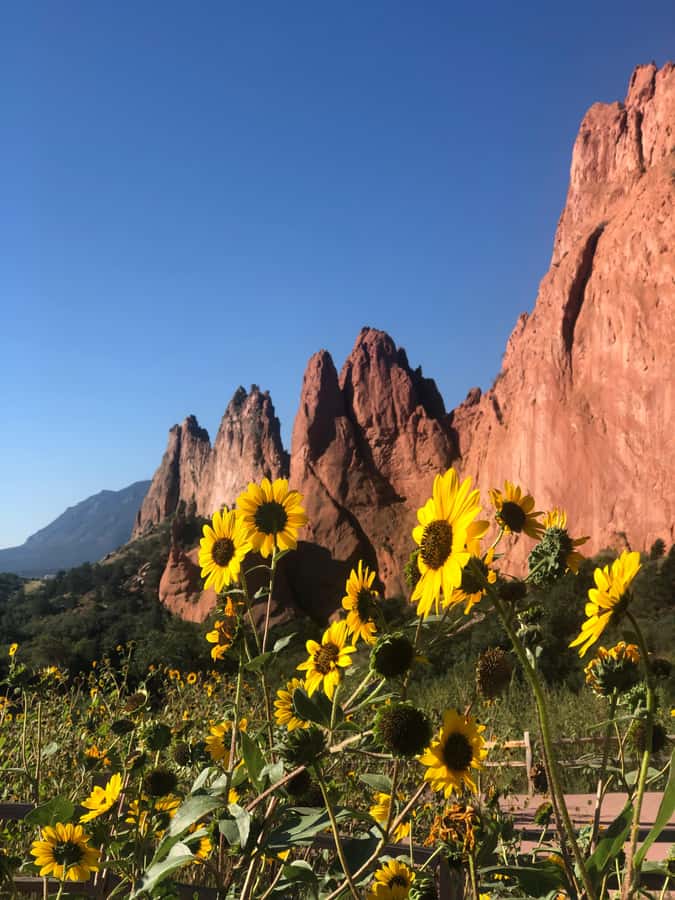 Colorado Springs: Garden of the Gods & Historic Town Tour - Five things to know before you book
