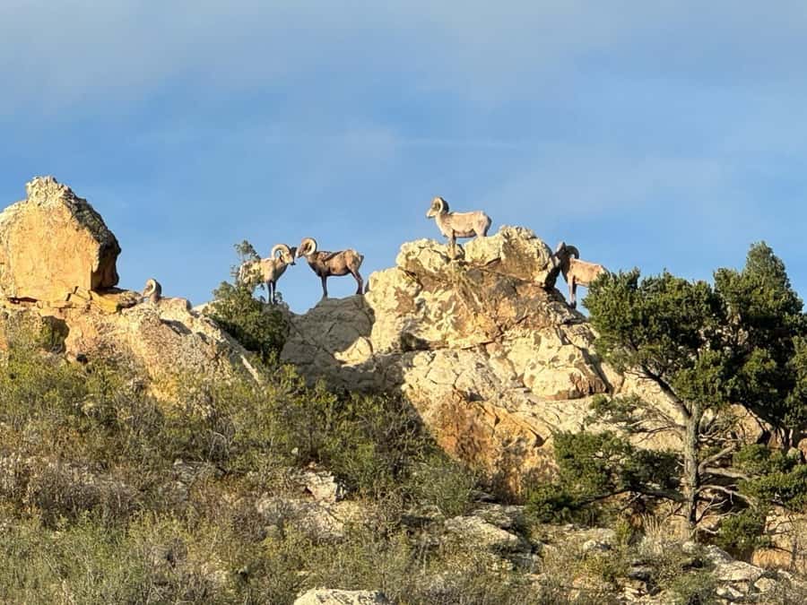Colorado Springs: Garden of the Gods & Historic Town Tour - Local stories make the drive more than transportation