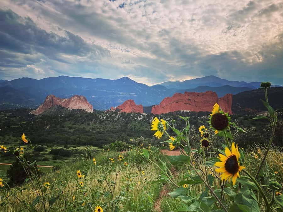 Colorado Springs: Garden of the Gods & Historic Town Tour - Is the $95 price good value?