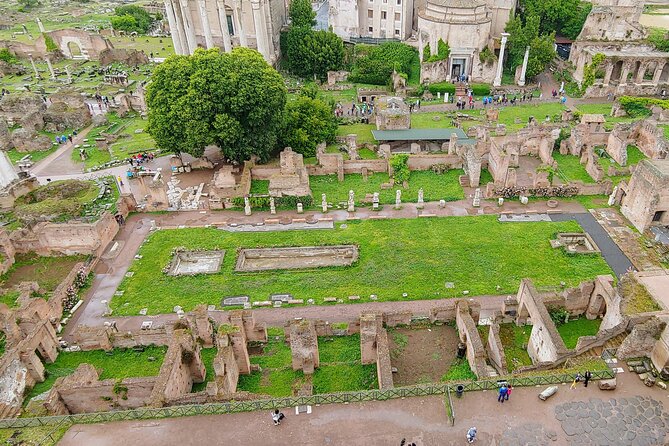 Colosseum & Ancient Rome Guided Walking Tour - Walking Palatine Hill for Rome’s origin story