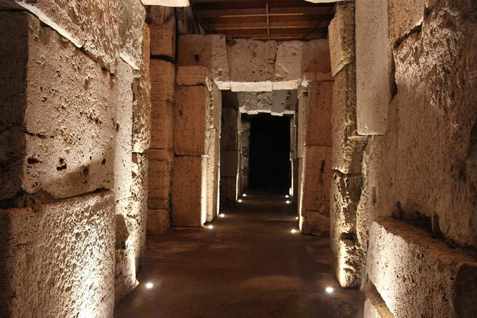 Colosseum Underground & Ancient Rome Guided Tour - Palatine Hill and the best views of ancient Rome