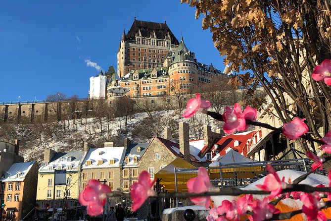 Combo Historical and Food Tour of Old Quebec - Guides, group size, and the pace of the afternoon