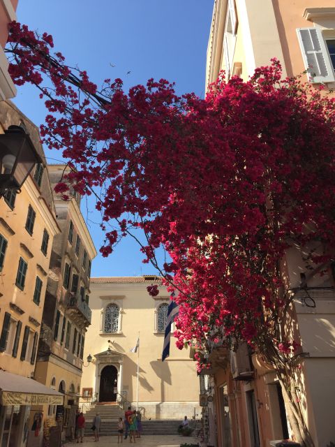 Corfu: History and Culture Walking Tour - Starting by the Old Fortress