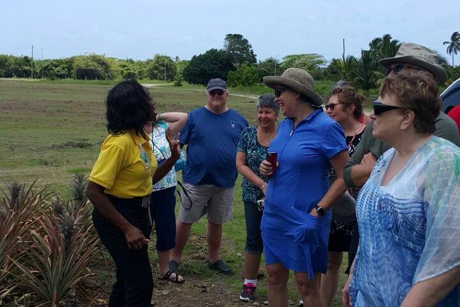 Cultural and Historical Home Tour in The Antiguan Experience - Starting at the Museum of Antigua and Barbuda