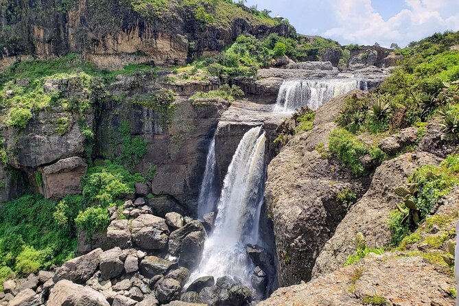 Day Trip From Addis Ababa See Historical Monastery,Stunning Nature,Animals,Birds - Gelada monkeys on the gorge slopes