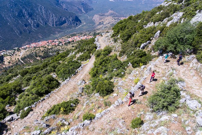 Delphi: Ancient Footpath Delphi Hiking - Key points to know before booking