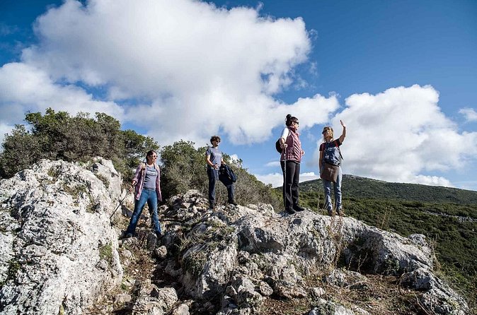Delphi: Ancient Footpath Delphi Hiking - Is $96.12 a fair price?