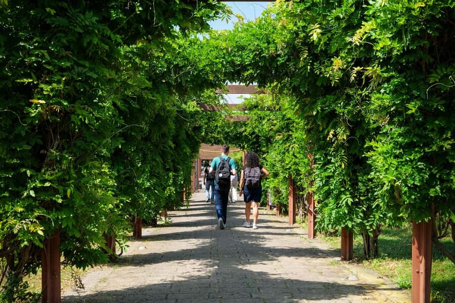 Discover Herculaneum: A guided tour of the ancient Roman city - Key points at a glance