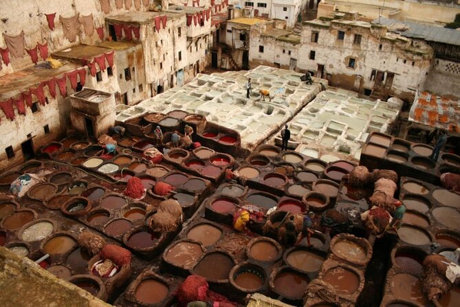 Discover the secrets of the Medina of Fez: guided cultural tour (private) - Key points to know before you book