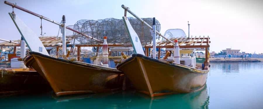 Doha: Combo Heritage & Art Tour of North and West Qatar - Why this seven-hour route works