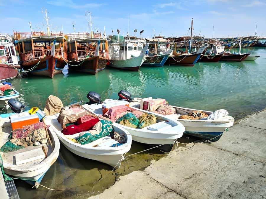 Doha: Combo Heritage & Art Tour of North and West Qatar - Al Jumail Village and Qatar’s pearl-fishing past