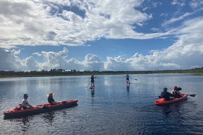 Dolphin and Manatee Adventure tour of Osprey with Florida History - Manatees, dolphins, and the appeal of wild sightings