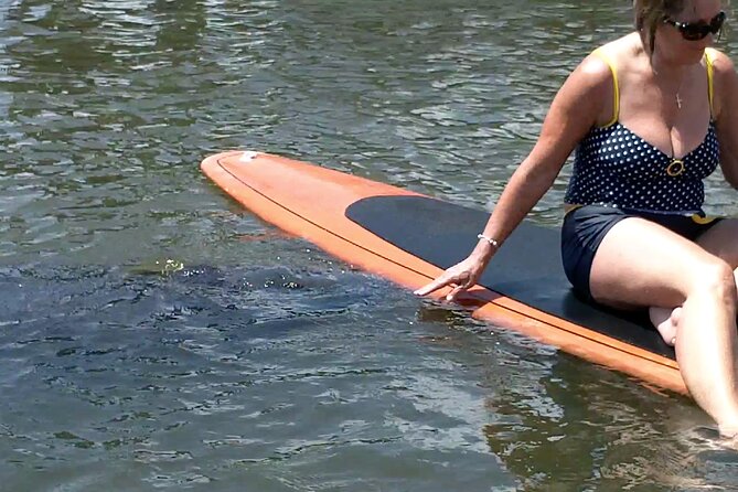 Dolphin and Manatee Adventure tour of Osprey with Florida History - Kayak or paddle board: choosing your way across the bay