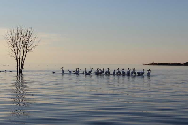Door County Historic Cottage Row & Strawberry Islands Cruise - Key points to know before you book