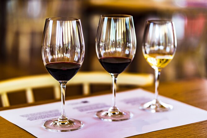 Douro Valley: Historical Sites, Wine Experience, Lunch & Cruise - A 50-minute Rabelo boat cruise from Pinhão