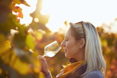 Douro Valley: Historical Sites, Wine Experience, Lunch & Cruise