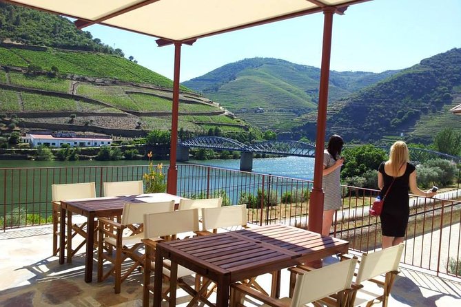 Douro Valley: Historical Sites, Wine Experience, Lunch & Cruise - Walking through one Douro wine estate