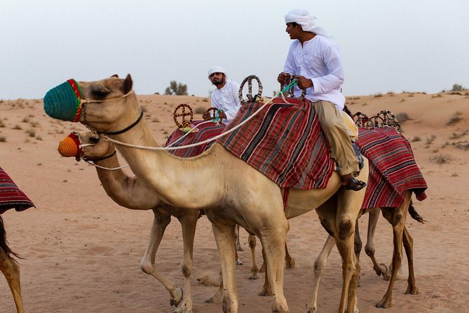 Dubai Camel Desert Safari, Traditional Meal & Heritage Activities - A Torch-Lit Bedouin Camp With Real Activities