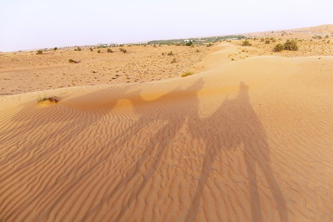 Dubai Camel Desert Safari, Traditional Meal & Heritage Activities - The Camel Ride Across Rolling Dunes