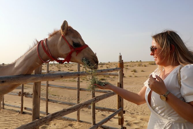 Dubai Evening Heritage Safari by Vintage G Class Al Marmoom Oasis - How the $189 price measures up