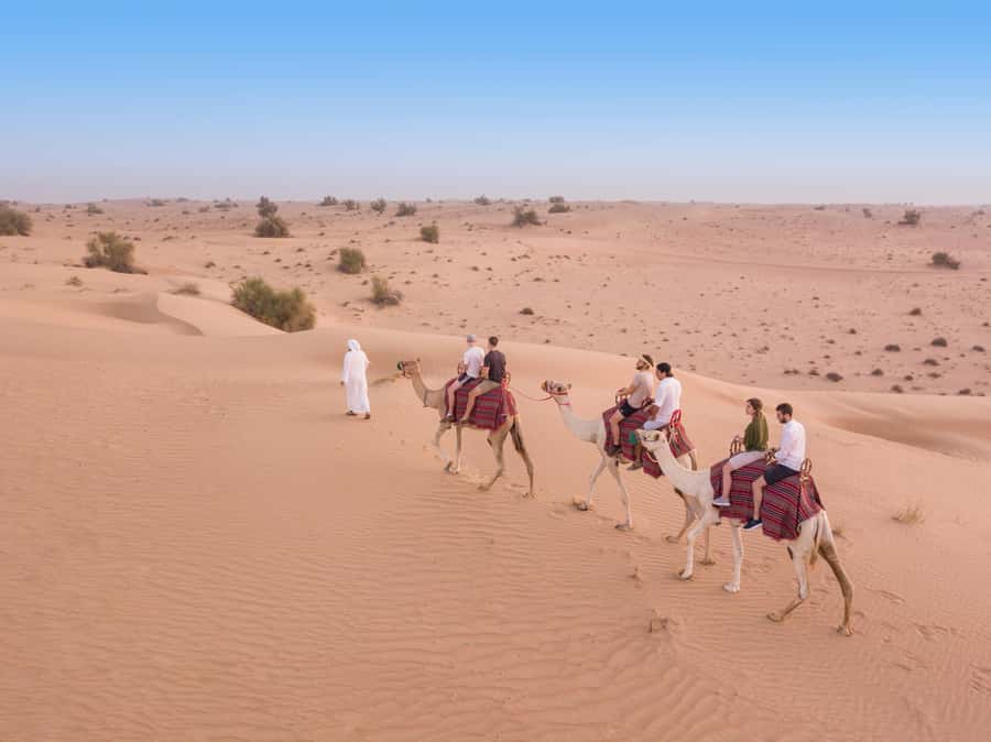 Dubai: Heritage Camel Desert Safari with Traditional Dinner - Key things to know before booking