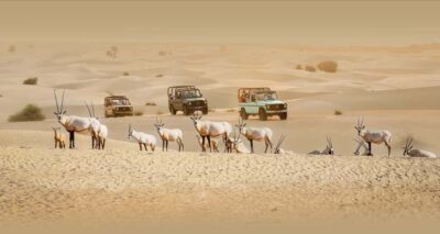 Heritage Safari, Camel Ride & Al Marmoom Oasis Dinner