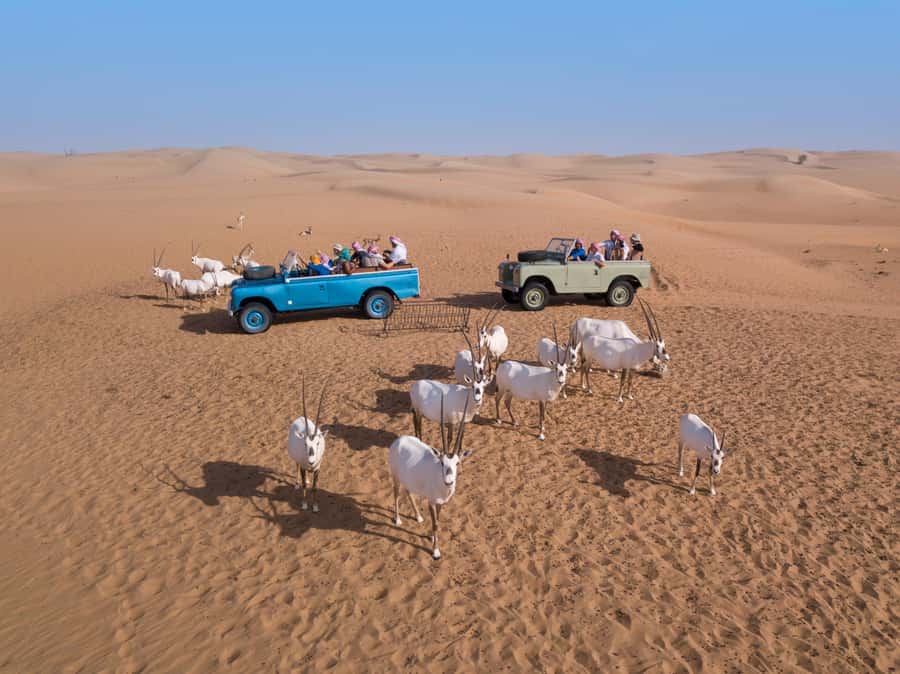 Dubai: Heritage Safari in Vintage Land Rover with Dinner - The Bedouin-style camp and its traditional touches