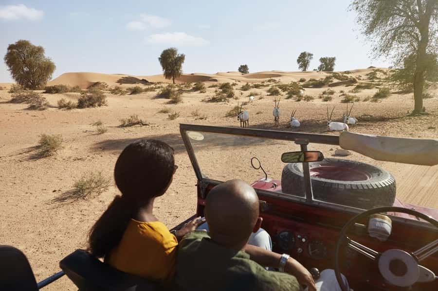 Dubai: Heritage Safari in Vintage Land Rover with Dinner - A four-course Emirati dinner worth allowing time for