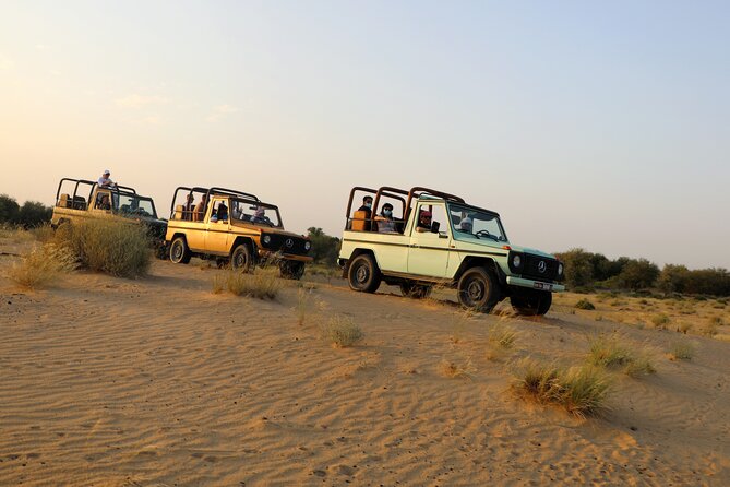 Dubai: Morning Heritage Safari by Vintage G Class & Al Marmoom Oasis - Arriving at the Bedouin village