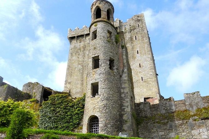 Dublin to Cork, Blarney Castle & Cóbh Heritage Centre by train - Blarney Castle and Gardens: three hours with a famous stone