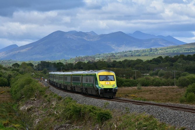 Dublin to Cork, Blarney Castle & Cóbh Heritage Centre by train - A short Cork city tour, with limited time on foot
