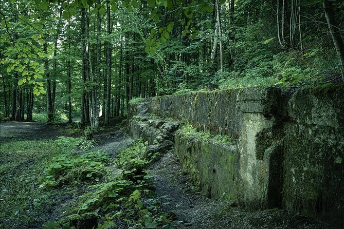 Eagle's Nest-Berchtesgaden-Obersalzberg Private Half Day WWII Historical Tour - The Dokumentationszentrum and its underground bunkers