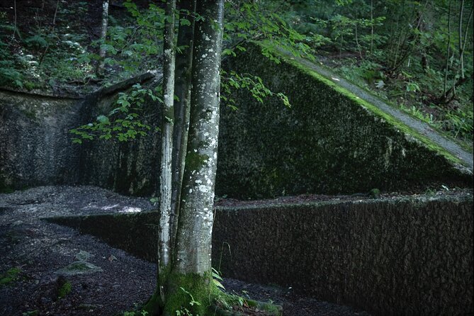 Eagle's Nest-Berchtesgaden-Obersalzberg Private Half Day WWII Historical Tour - The private guide makes the difference