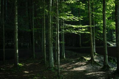 Eagle’s Nest-Berchtesgaden-Obersalzberg Private Half Day WWII Historical Tour